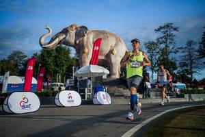 BIB: 
                            <button type="button" onclick="openModal(26541788)" class="btn btn-primary btn-sm float-right btn-popup" data-toggle="modal" data-target=".modal-high-quality">
                        <i class="fas fa-shopping-cart"></i> Add to Cart
                    </button>
                                            <button type="button" onclick="isThisMe(26541788, true)" class="btn btn-success btn-sm float-right btn-popup btn-isme hidden" data-toggle="tooltip" data-placement="bottom" title="นี่คือรูปของคุณใช่ไหม คลิกที่นี่เพื่อเอาเข้าอัลบั้ม">
                        <i class="fas fa-plus"></i> Add to album
                    </button>
                    <button type="button" onclick="isThisMe(26541788, false)" class="btn btn-warning btn-sm float-right btn-popup btn-isnotme hidden">
                        <i class="fas fa-ban"></i> Remove from album
                    </button>